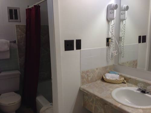 Imagen de la habitación del Hotel The Villager Inn. Foto 13