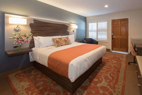 Imagen de la habitación del Hotel The Vine Inn Davis. Foto 1