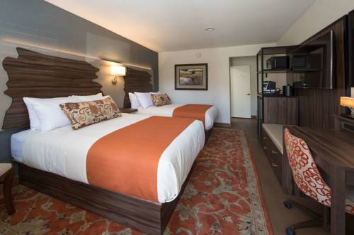 Imagen de la habitación del Hotel The Vine Inn Davis. Foto 2