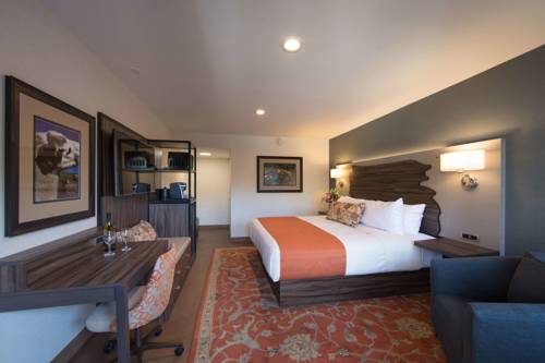 Imagen de la habitación del Hotel The Vine Inn Davis. Foto 3