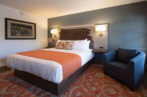 Imagen de la habitación del Hotel The Vine Inn Davis. Foto 4