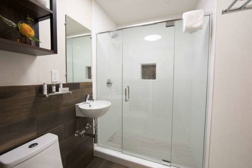Imagen de la habitación del Hotel The Vine Inn Davis. Foto 5