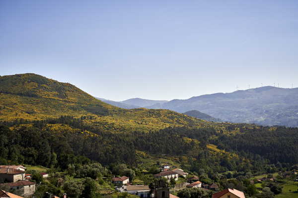 Imagen general del Hotel The Vinea Collection by Piamonte Hotels. Foto 2