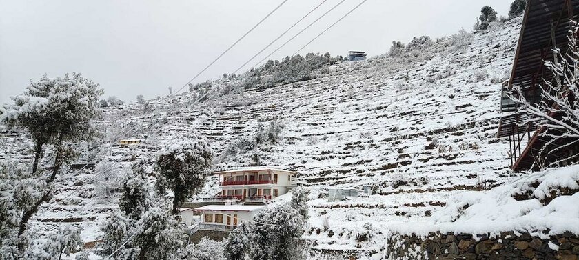 Imagen general del Hotel The Vintage Hill Village. Foto 9
