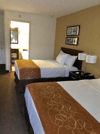 Imagen de la habitación del Hotel The Vue Inn Brooklyn. Foto 5