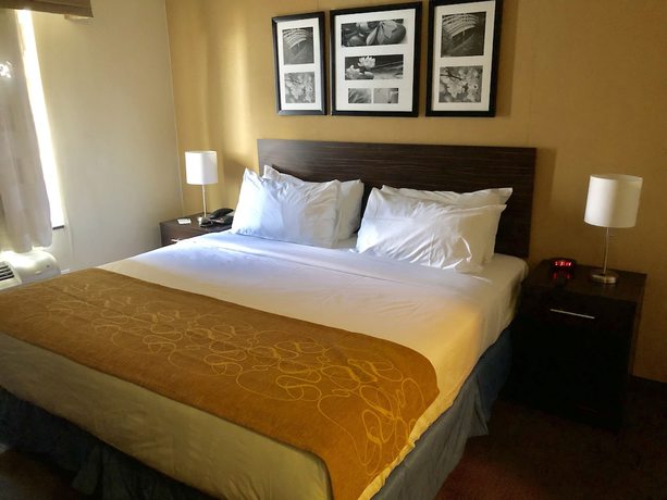 Imagen de la habitación del Hotel The Vue Inn Brooklyn. Foto 7
