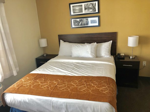 Imagen de la habitación del Hotel The Vue Inn Brooklyn. Foto 10