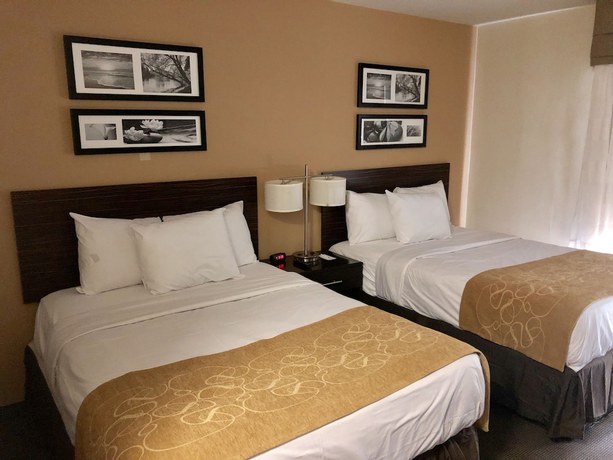 Imagen de la habitación del Hotel The Vue Inn Brooklyn. Foto 12