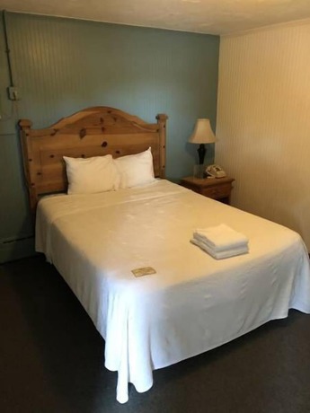 Imagen de la habitación del Hotel The Walpole Motel. Foto 4