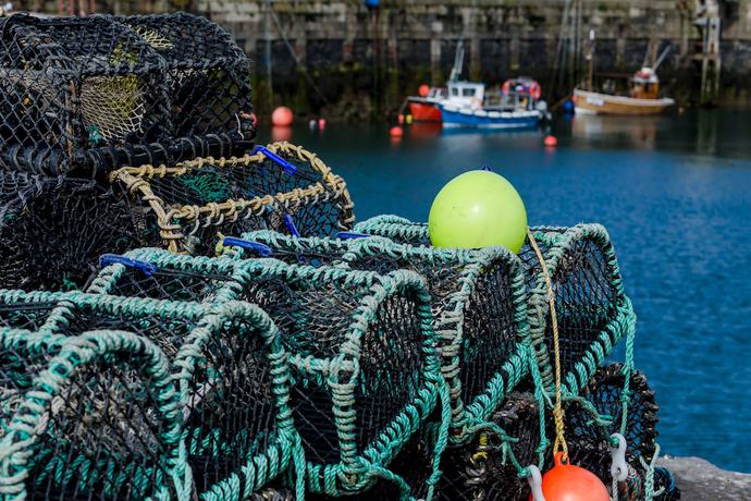 Imagen general del Hotel The Waterfront and Bistro. Foto 2