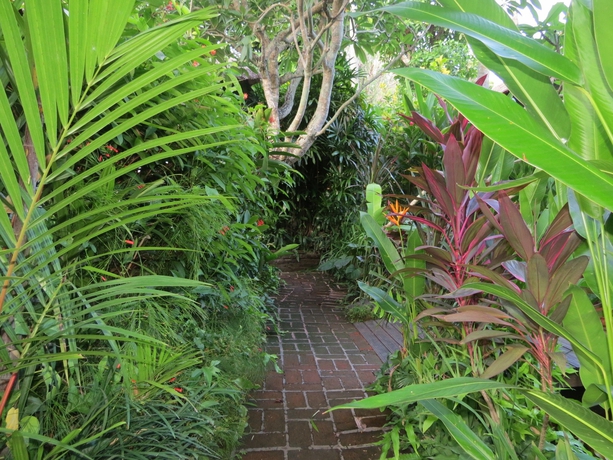Imagen de los exteriores del Hotel The Watergarden. Foto 15