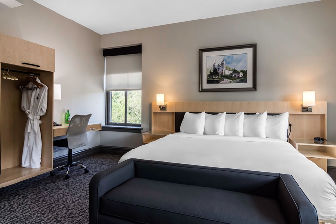 Imagen de la habitación del Hotel The Waters Hot Springs, Tapestry Collection by Hilton. Foto 13
