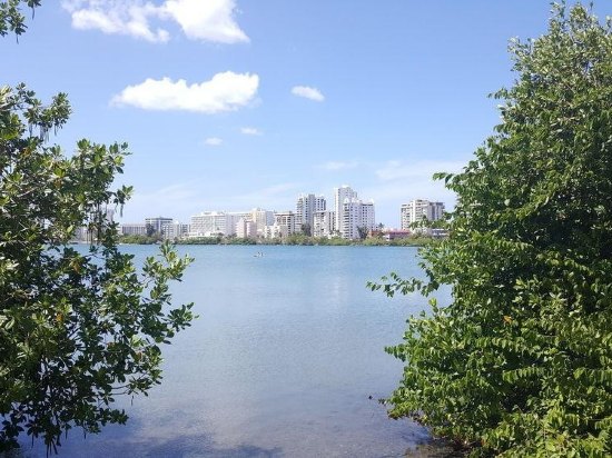 Imagen de los exteriores del Hotel The Wave At Condado. Foto 9