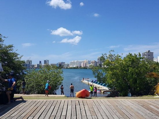 Imagen general del Hotel The Wave At Condado. Foto 6