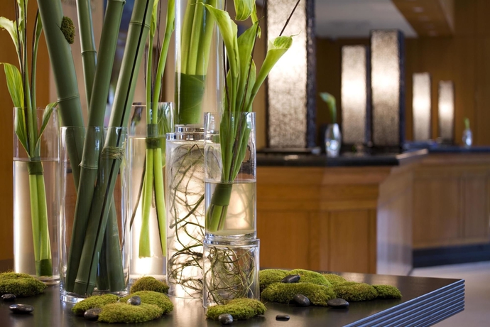 Imagen de los interiores del Hotel The Westin Dallas Park Central. Foto 15