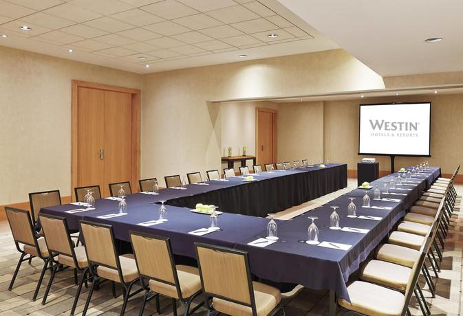 Imagen de los interiores del Hotel The Westin Detroit Metropolitan Airport. Foto 9