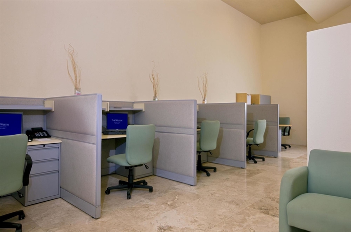 Imagen de los interiores del Hotel The Westin Los Cabos Resort Villas. Foto 10