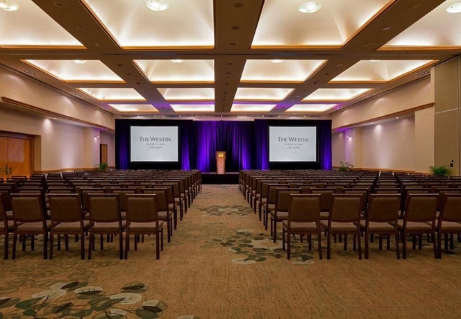 Imagen de los interiores del Hotel The Westin Los Cabos Resort Villas. Foto 11