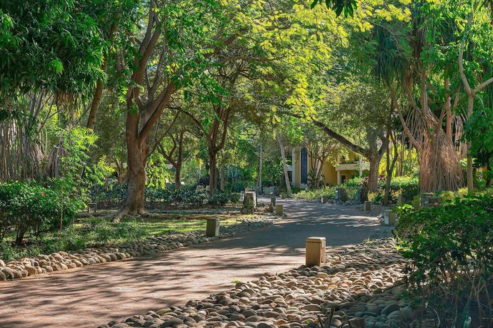 Imagen de la habitación del Hotel The Westin Reserva Conchal, An All-inclusive Golf Resort and Spa. Foto 15