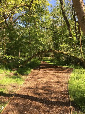 Imagen de la habitación del Hotel The Westwood, Vale of White Horse. Foto 7