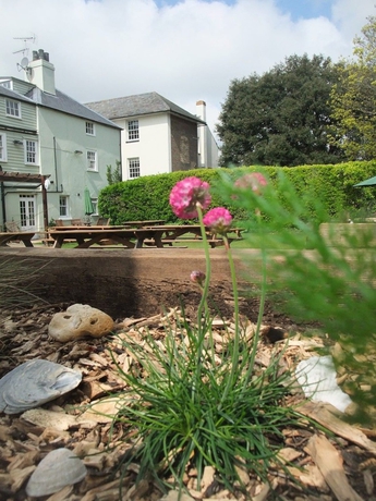 Imagen de los exteriores del Hotel The White Cliffs. Foto 15