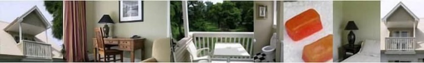 Imagen general del Hotel The White Swan Country. Foto 11