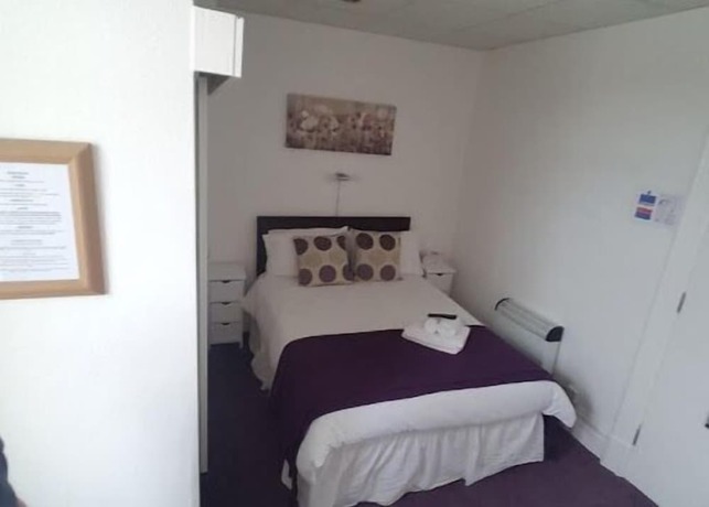 Imagen de la habitación del Hotel The Wilton. Foto 15