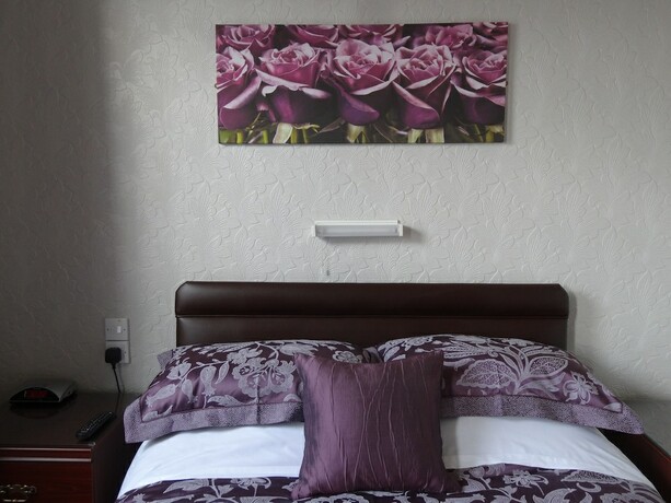 Imagen general del Hotel The Winchester. Foto 11