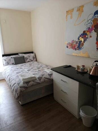 Imagen general del Hotel The Winter Garden Suites. Foto 9