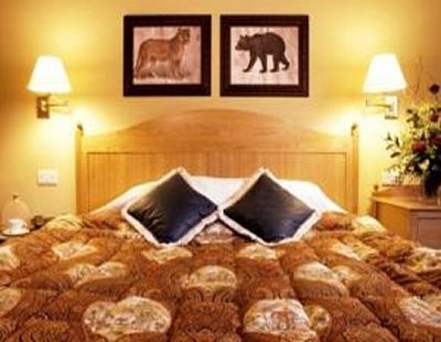 Imagen general del Hotel The Woburn. Foto 7