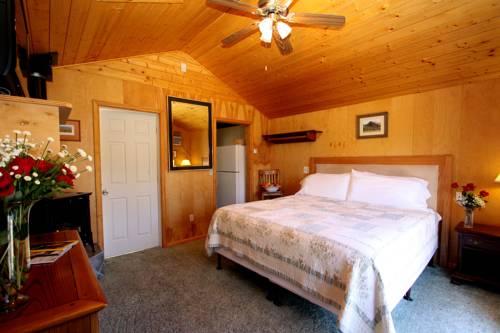 Imagen de la habitación del Hotel The Woods - Gay Lgbtq Cabins. Foto 3