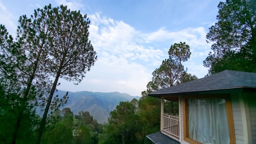 Imagen de la habitación del Hotel The Woods Retreat. Foto 6