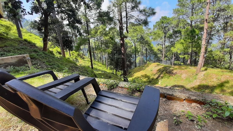 Imagen de los interiores del Hotel The Woods Retreat. Foto 17