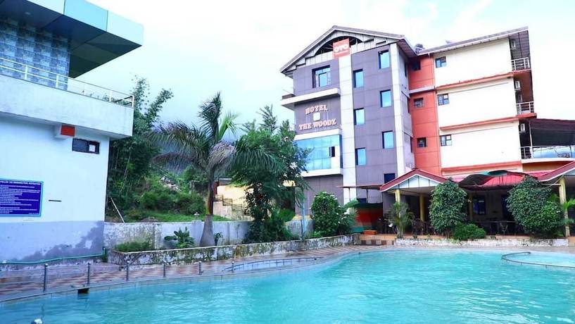 Imagen de la piscina del Hotel The Woodz. Foto 18