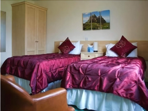 Imagen de la habitación del Hotel The Wroxeter. Foto 5