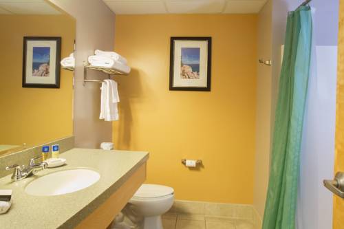 Imagen de la habitación del Hotel The Wylie Inn and Conference Center At Endicott College. Foto 3