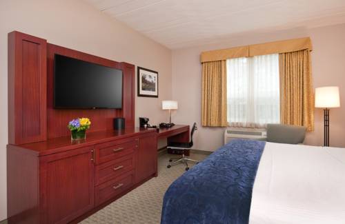 Imagen de la habitación del Hotel The Wylie Inn and Conference Center At Endicott College. Foto 6