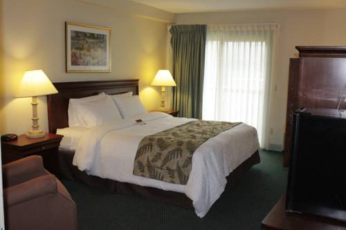 Imagen de la habitación del Hotel The Yankee Inn. Foto 3