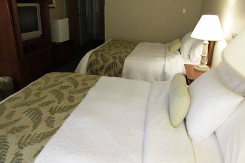 Imagen de la habitación del Hotel The Yankee Inn. Foto 4