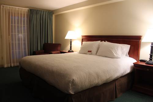 Imagen de la habitación del Hotel The Yankee Inn. Foto 6