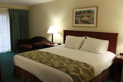Imagen de la habitación del Hotel The Yankee Inn. Foto 8