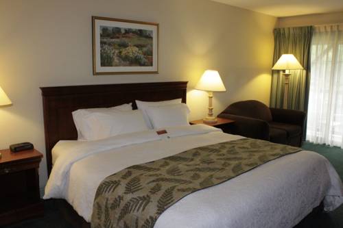 Imagen de la habitación del Hotel The Yankee Inn. Foto 14