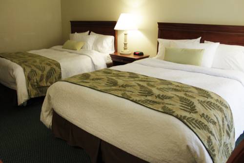 Imagen de la habitación del Hotel The Yankee Inn. Foto 15
