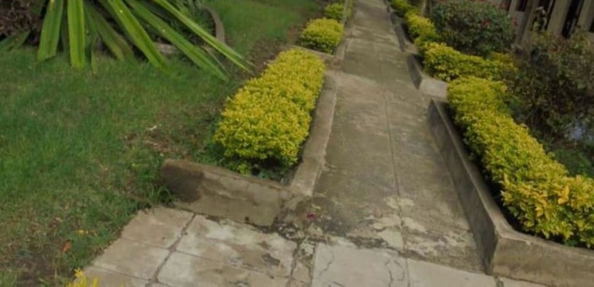 Imagen de los exteriores del Hotel The Yellow Green. Foto 16