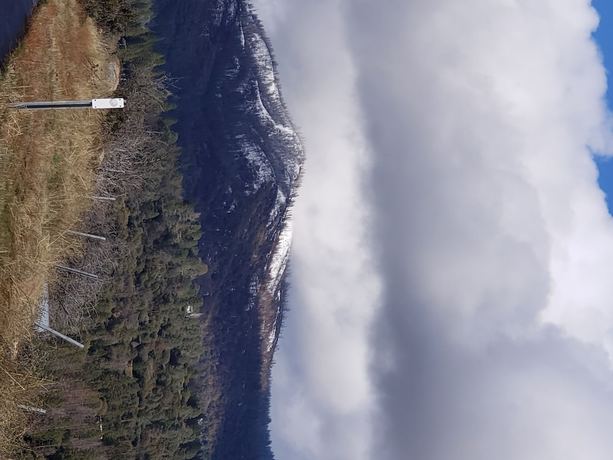 Imagen general del Hotel The Yosemite Inn. Foto 4