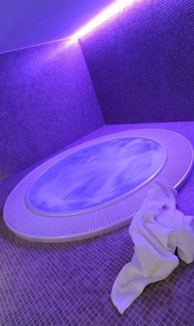 Imagen de la piscina del Hotel The Ziba and Spa. Foto 15