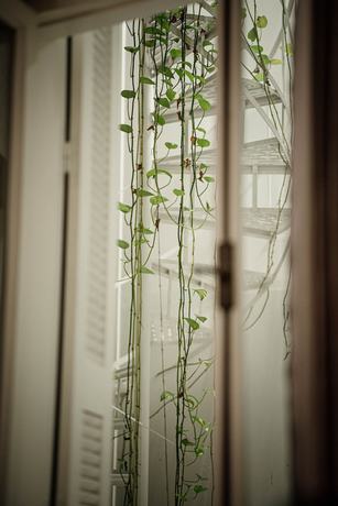 Imagen de la habitación del Hotel The Zillers Athens Boutique Hotel. Foto 8