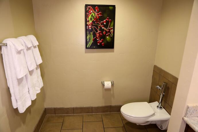 Imagen de la habitación del Hotel The at Black Oak Casino Resort. Foto 20