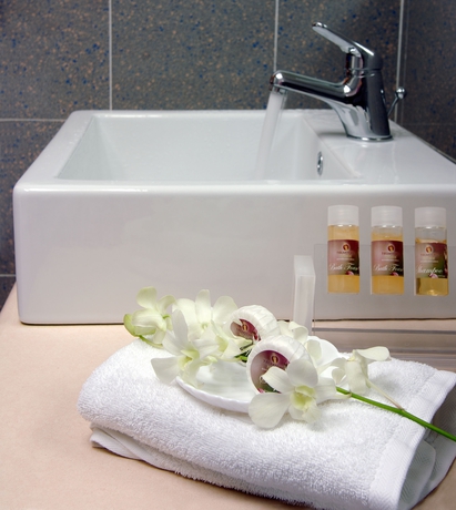 Imagen de la habitación del Hotel Theartemis Palace. Foto 10