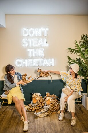 Imagen de los interiores del Hotel Theme Boutique. Foto 34